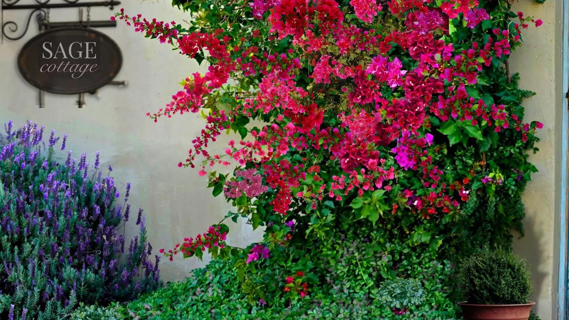 Sage Cottage Bloubergstrand Le Cap 0*,